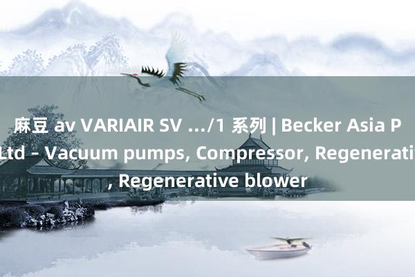 麻豆 av VARIAIR SV .../1 系列 | Becker Asia Pacific Pte Ltd – Vacuum pumps, Compressor, Regenerative blower