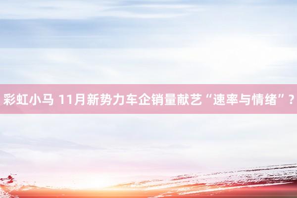 彩虹小马 11月新势力车企销量献艺“速率与情绪”？