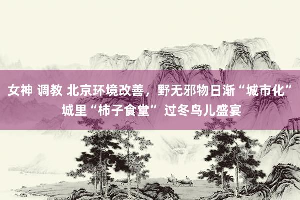 女神 调教 北京环境改善，野无邪物日渐“城市化” 城里“柿子食堂” 过冬鸟儿盛宴