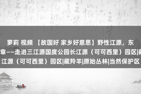 萝莉 视频 【故国好 家乡好意思】野性江源，东说念主与当然的协调乐章——走进三江源国度公园长江源（可可西里）园区|藏羚羊|原始丛林|当然保护区