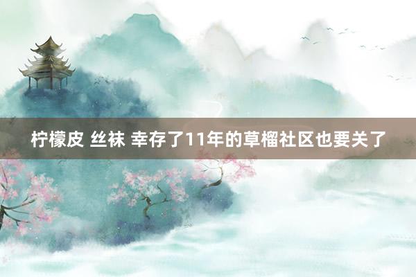 柠檬皮 丝袜 幸存了11年的草榴社区也要关了