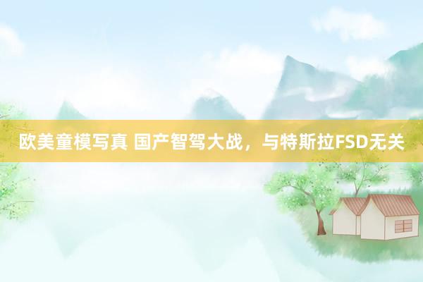欧美童模写真 国产智驾大战，与特斯拉FSD无关