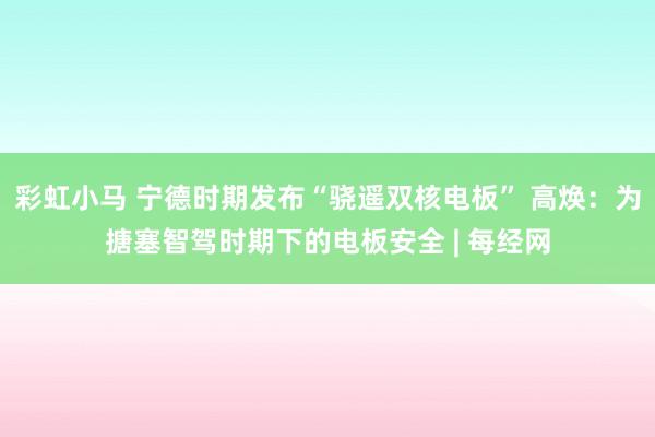 彩虹小马 宁德时期发布“骁遥双核电板” 高焕：为搪塞智驾时期下的电板安全 | 每经网
