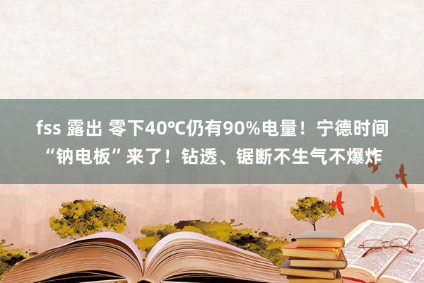 fss 露出 零下40℃仍有90%电量！宁德时间“钠电板”来了！钻透、锯断不生气不爆炸