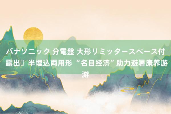 パナソニック 分電盤 大形リミッタースペース付 露出・半埋込両用形 “名目经济”助力避暑康养游