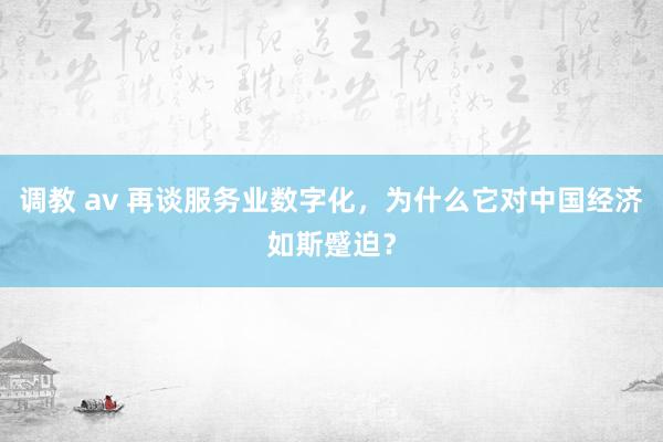 调教 av 再谈服务业数字化，为什么它对中国经济如斯蹙迫？
