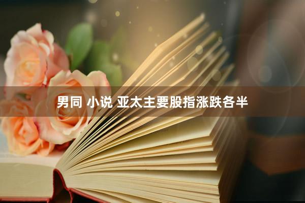 男同 小说 亚太主要股指涨跌各半