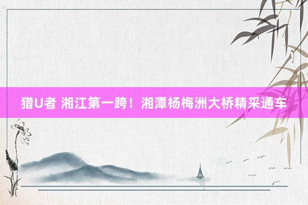 猎U者 湘江第一跨！湘潭杨梅洲大桥精采通车