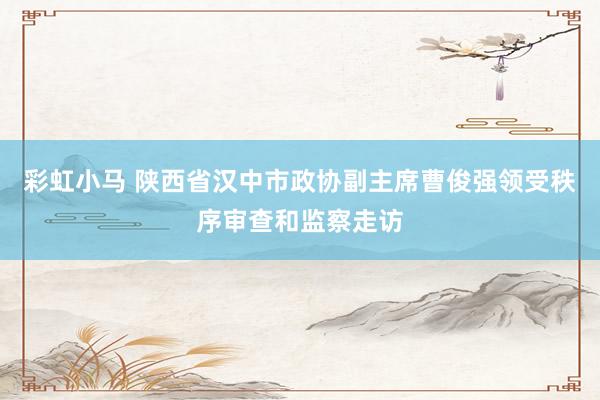 彩虹小马 陕西省汉中市政协副主席曹俊强领受秩序审查和监察走访
