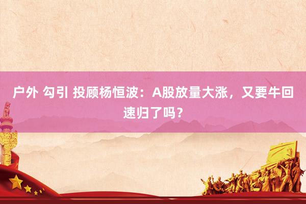 户外 勾引 投顾杨恒波：A股放量大涨，又要牛回速归了吗？